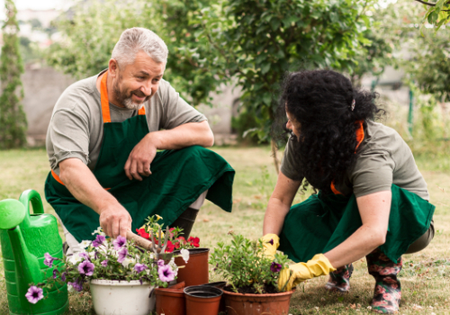 zelfredzaamheid vergroten tuinieren